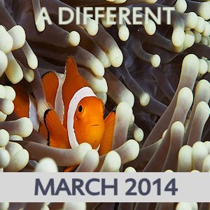 A Different March 2014 on Spotify